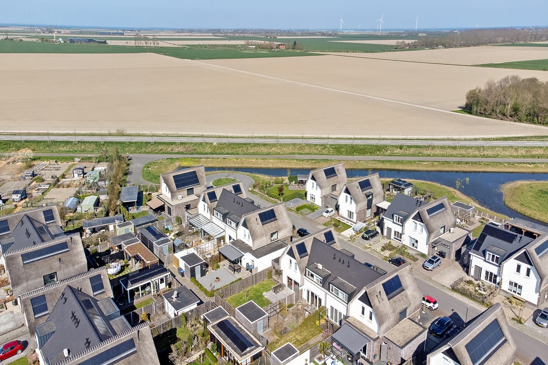 Photo 41 of Reedulf 11