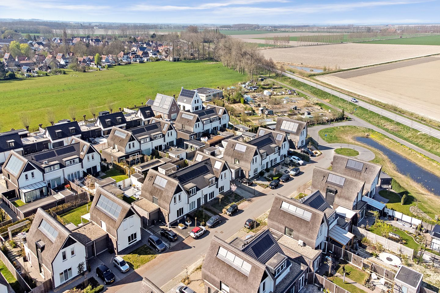 Photo 40 of Reedulf 11