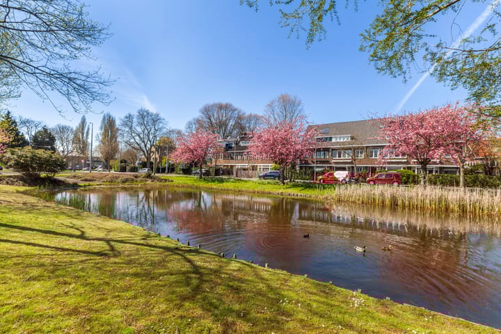 Foto 42 van Borchsatelaan 7