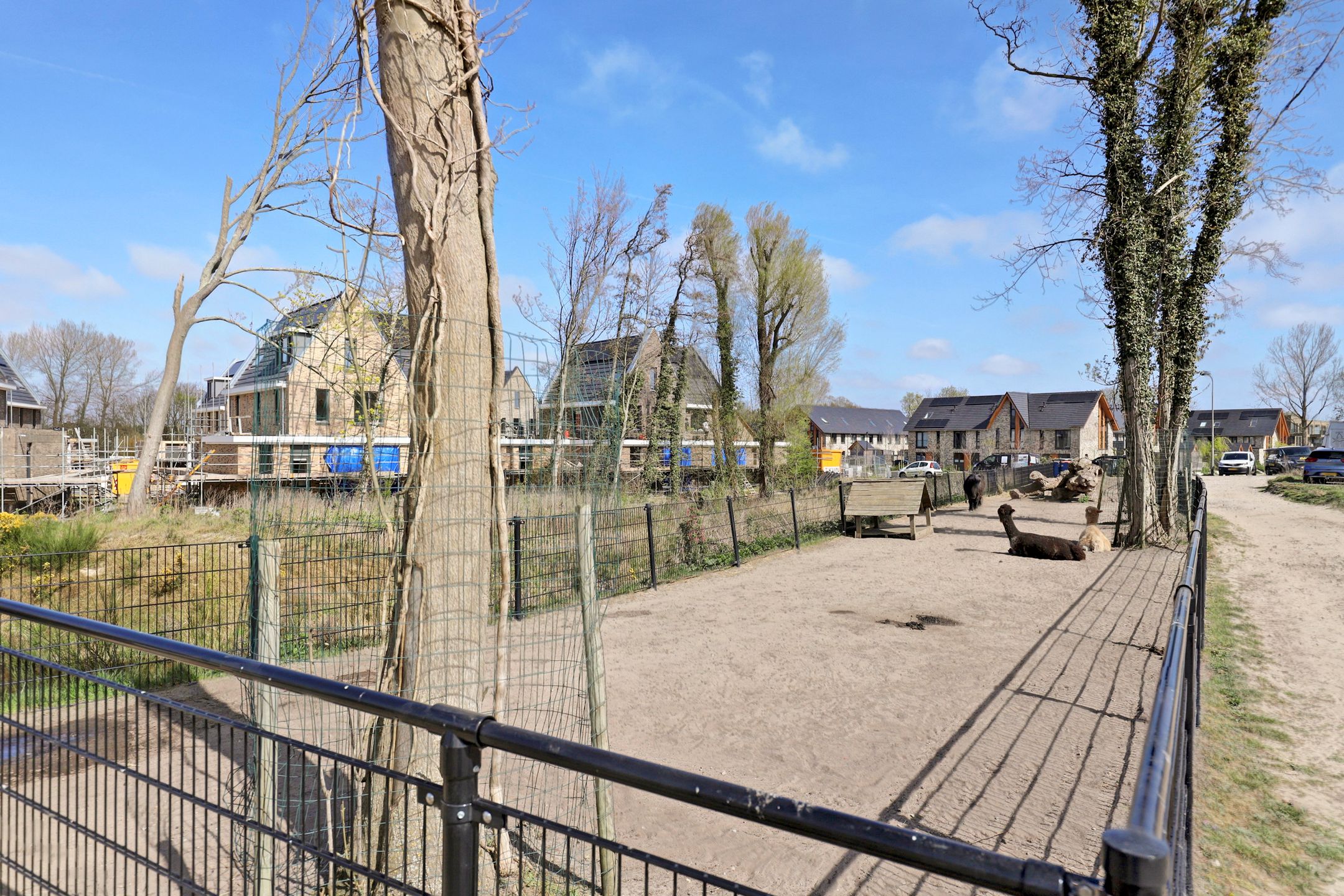 Foto 45 van Sint Bavolaan 96