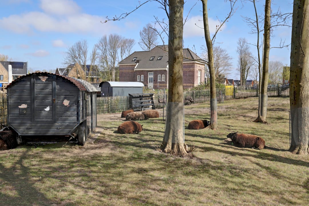 Foto 46 van Sint Bavolaan 96