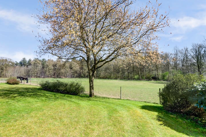 Foto 63 van Merseloseweg 17