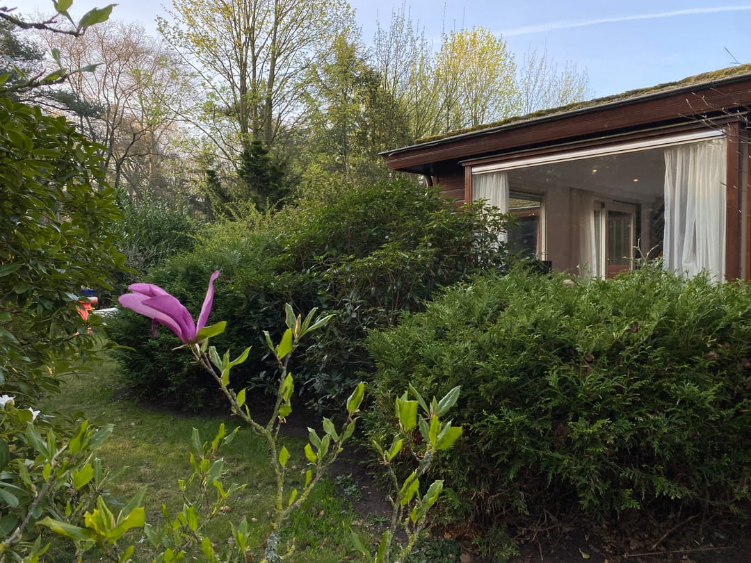 Foto 37 van Boslaan 2-A50