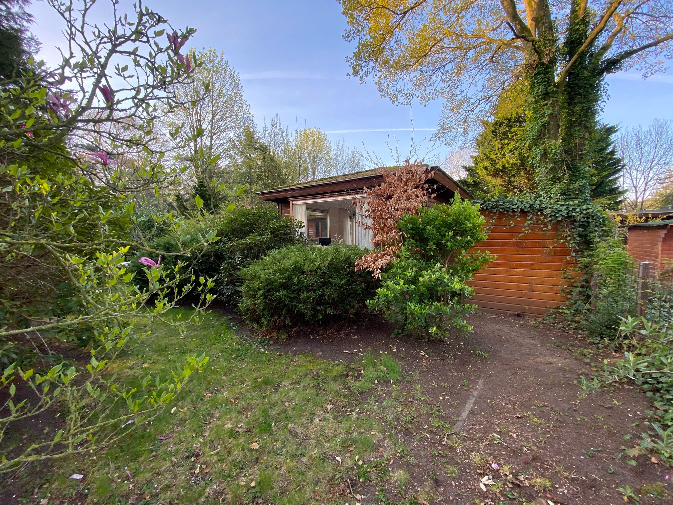 Foto 39 van Boslaan 2-A50