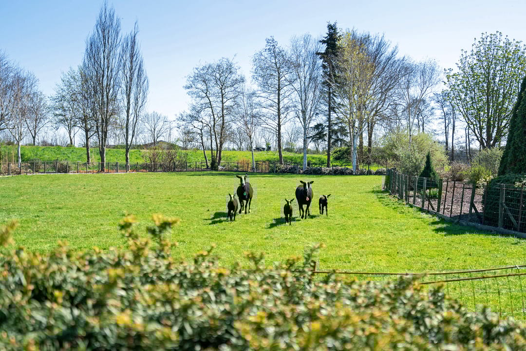 Foto 52 van Nesse 6-A