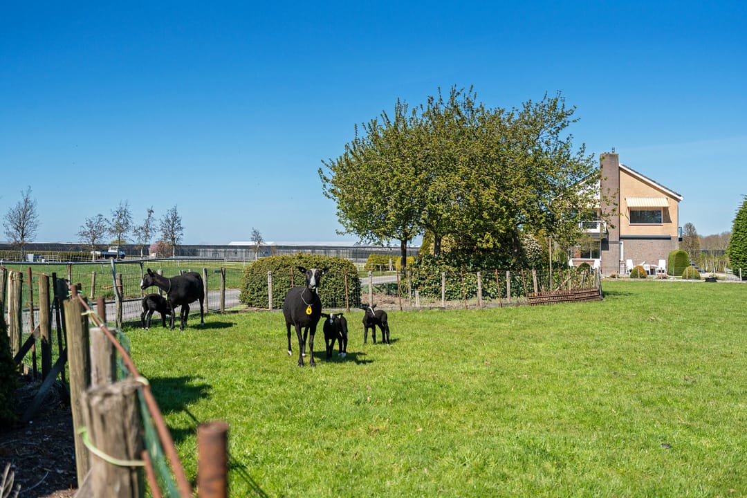 Foto 53 van Nesse 6-A