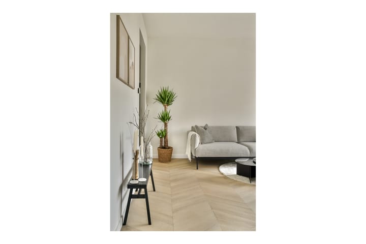 Foto 12 van Vluchtladderstraat 49