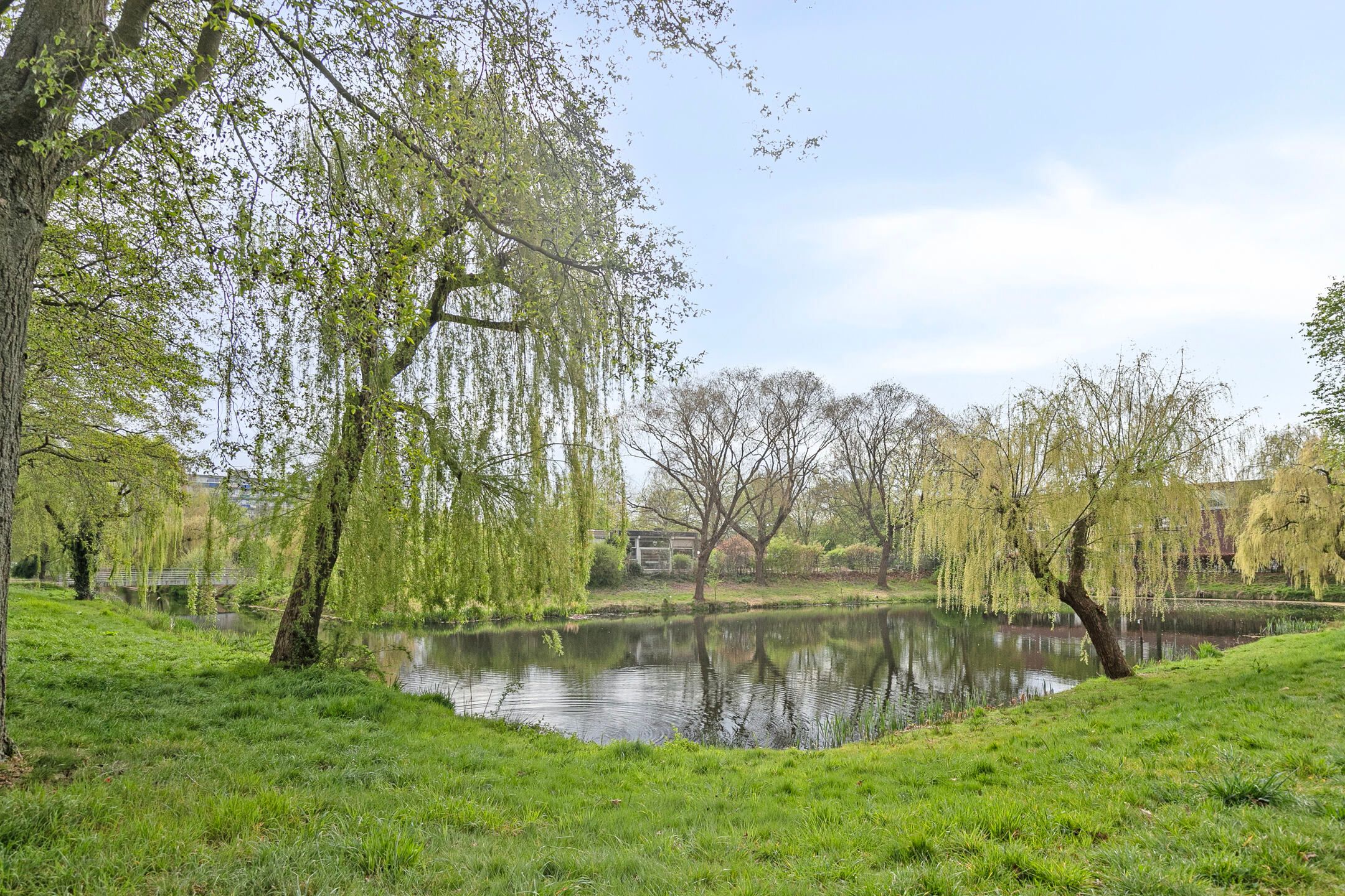 Foto 27 van Albatrosstraat 11