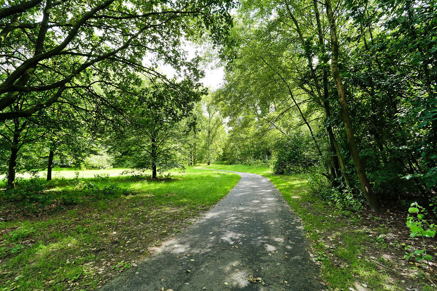 Foto 29 van Albatrosstraat 11