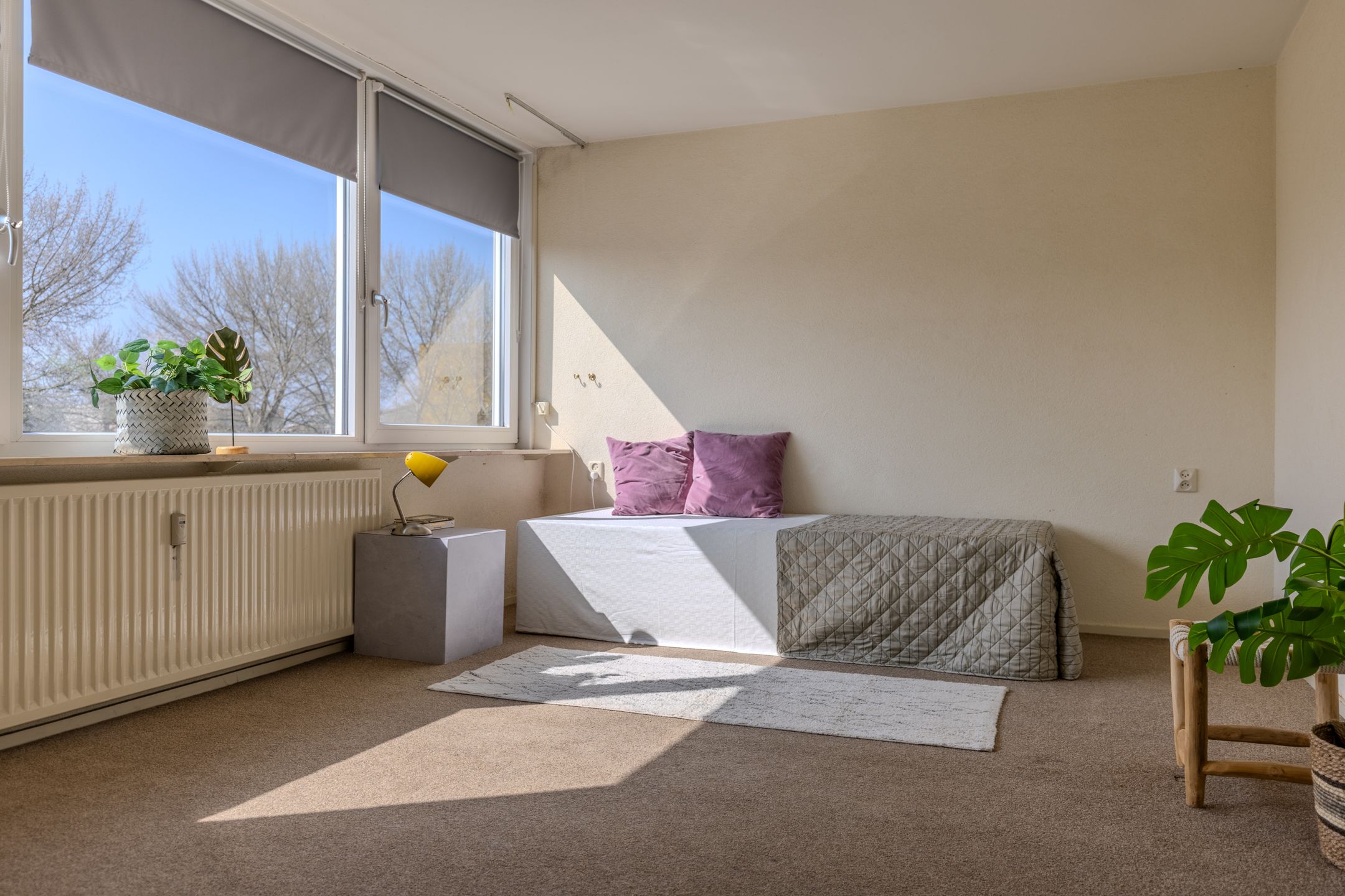 Photo 24 of Oldenzaalsestraat 109-402