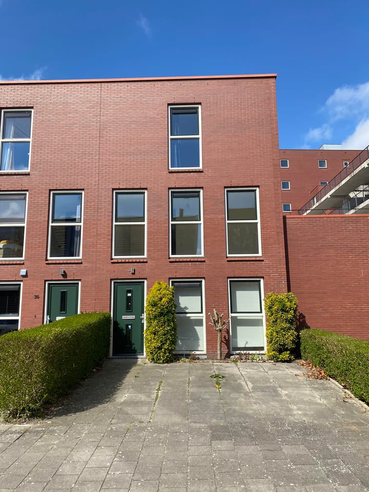 undefined main image