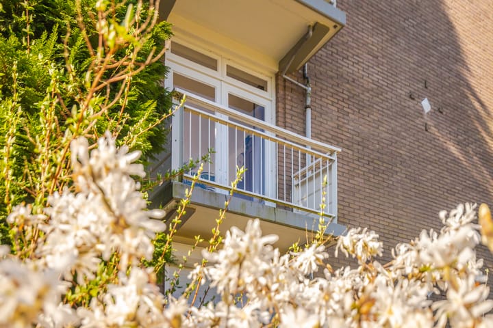 Foto 13 van Lippe Biesterfeldstraat 19-2