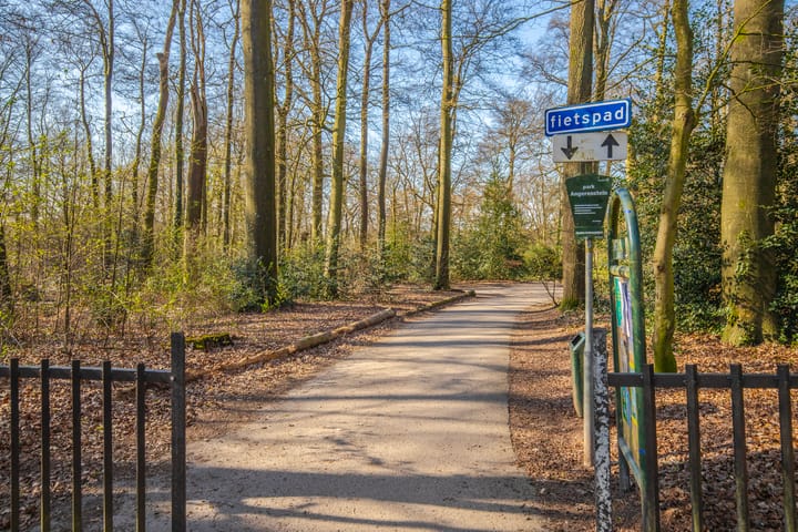 Foto 25 van Lippe Biesterfeldstraat 19-2