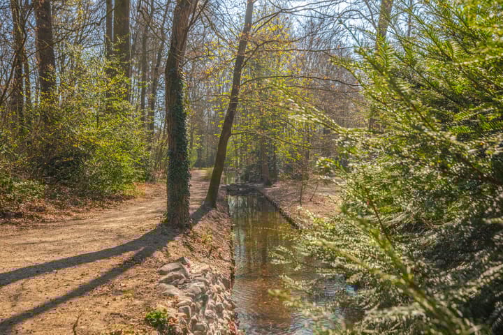 Foto 26 van Lippe Biesterfeldstraat 19-2