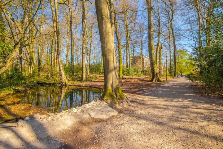 Foto 27 van Lippe Biesterfeldstraat 19-2