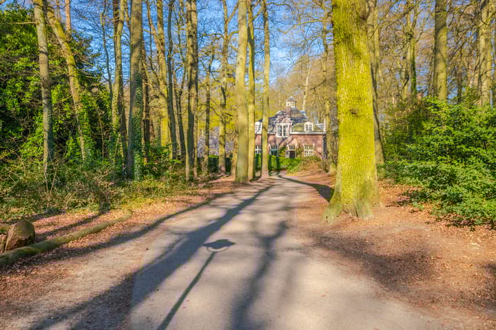 Foto 28 van Lippe Biesterfeldstraat 19-2