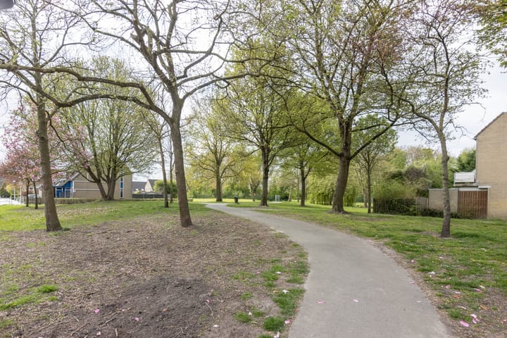 Foto 6 van IJzertijdkreek 25