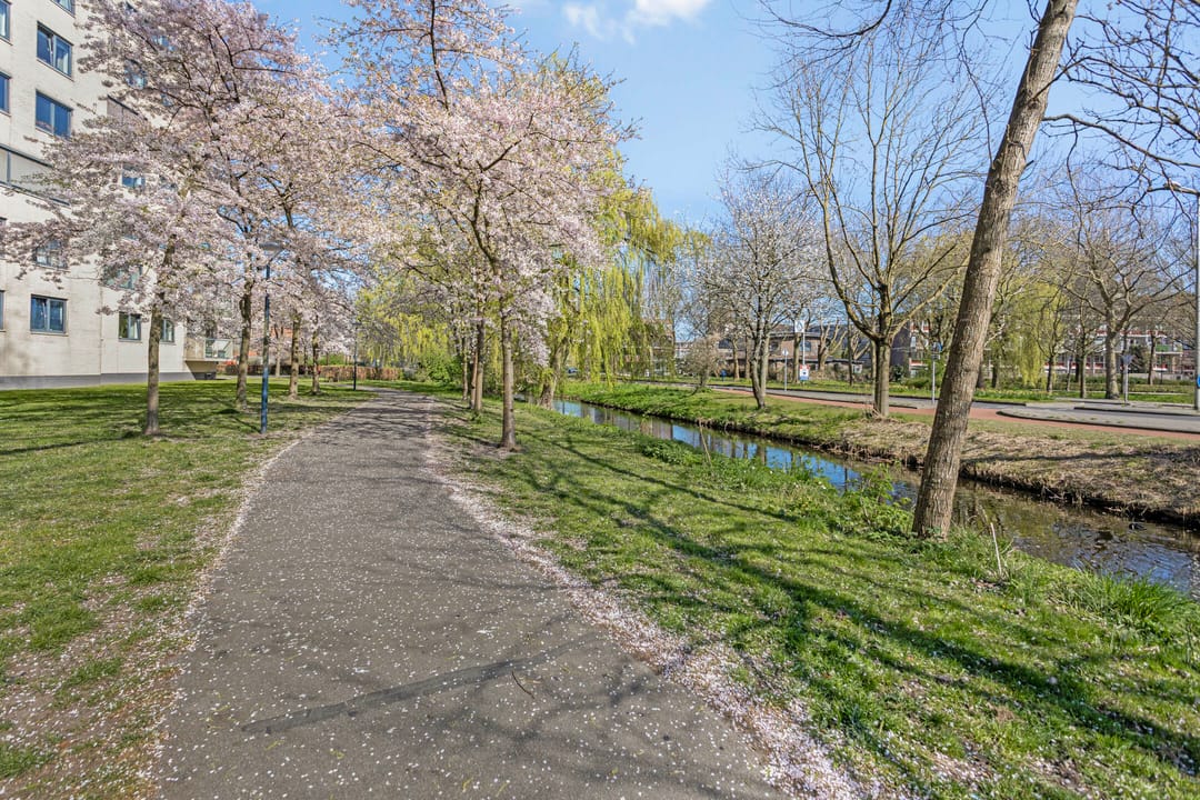 Foto 37 van Waterman 11