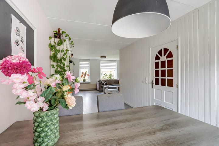 Foto 10 van Túnikkers 10