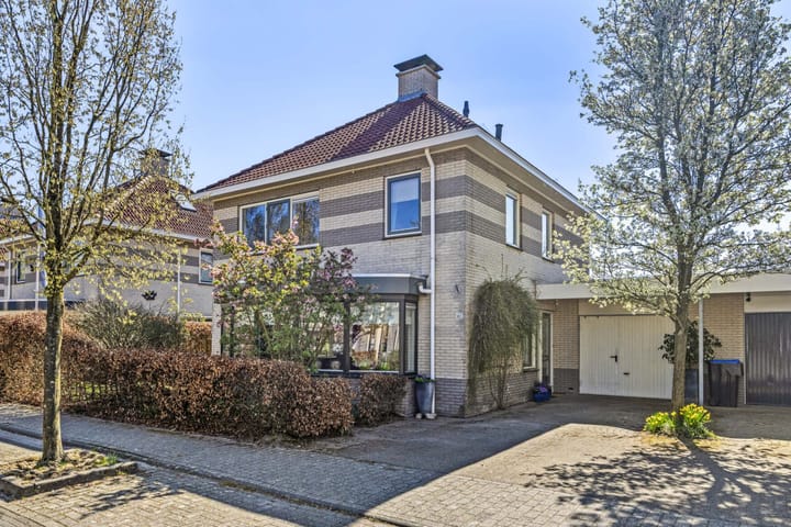 Foto 2 van Luzernevlinder 161