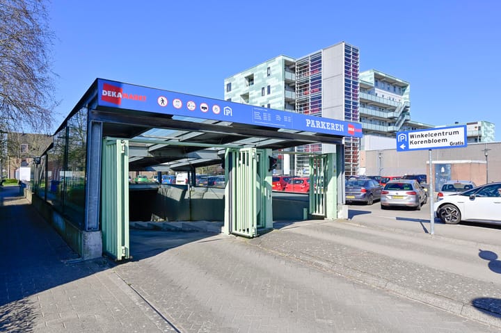 Foto 21 van Sleutelbloem 28