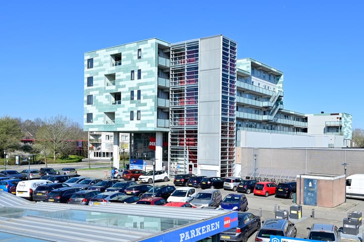 Foto 22 van Sleutelbloem 28