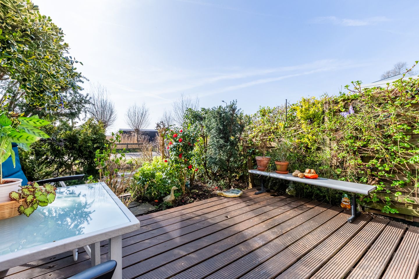 Foto 40 van De Palmboomstraat 22