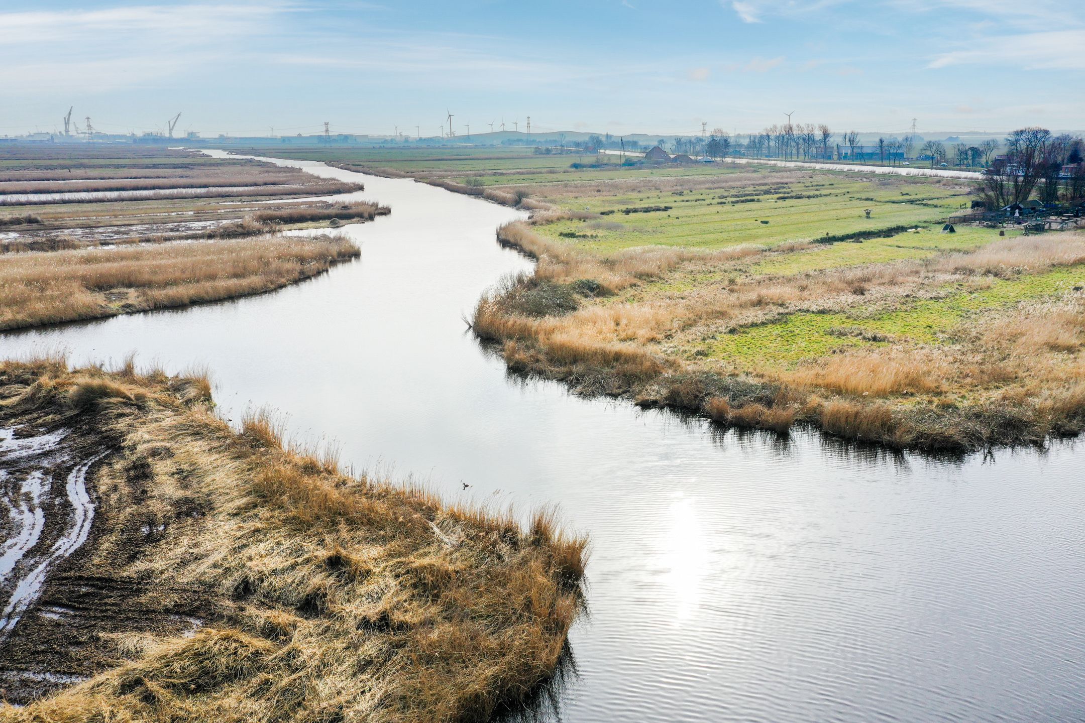 Foto 48 van De Palmboomstraat 22