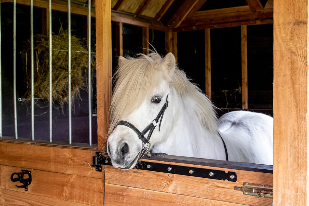 Foto 37 van Zuiderlingedijk 103