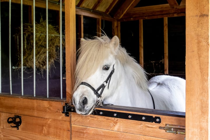 Foto 37 van Zuiderlingedijk 103