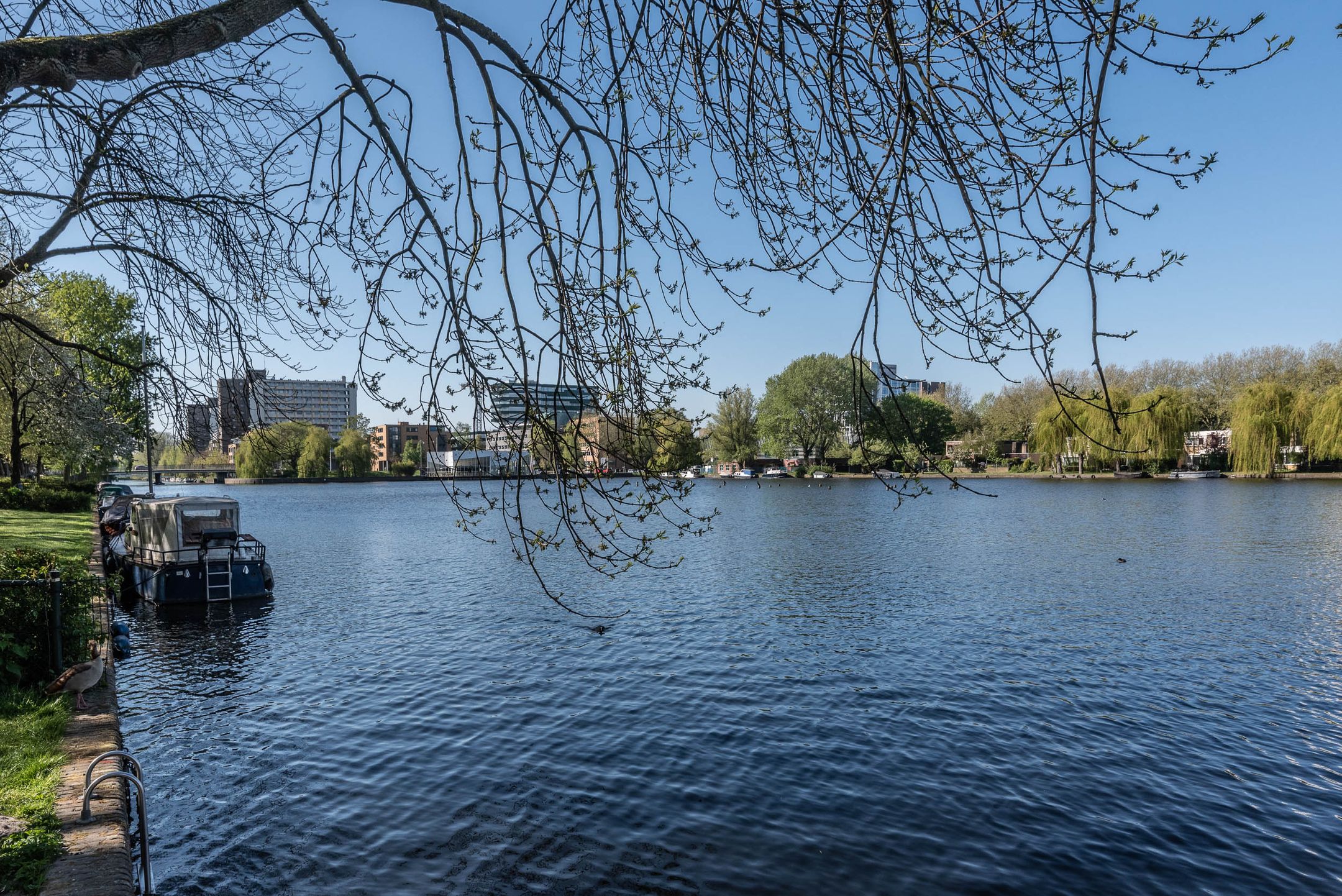 Foto 33 van Heemstedestraat 41-2