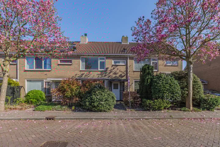 undefined main image