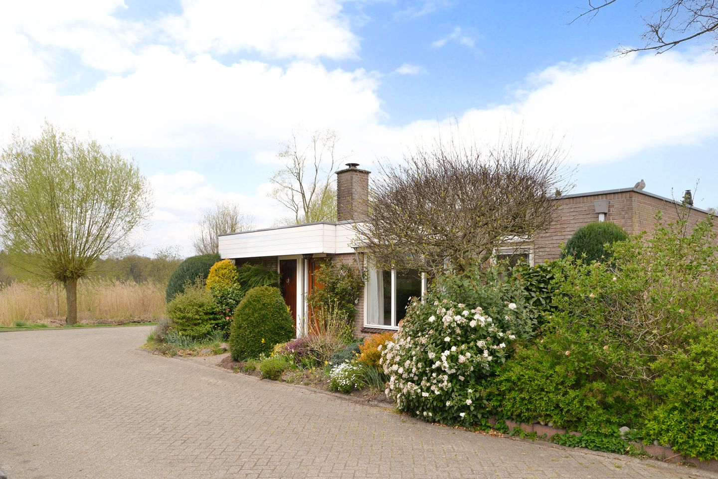 Foto 1 van Honingbij 18