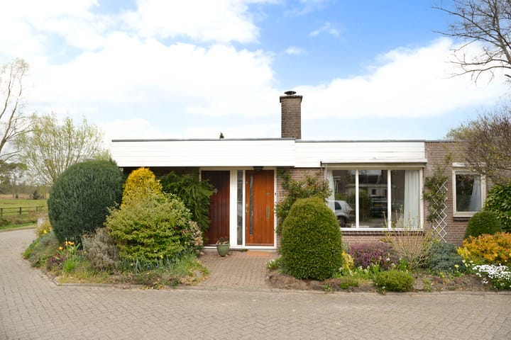 Foto 2 van Honingbij 18