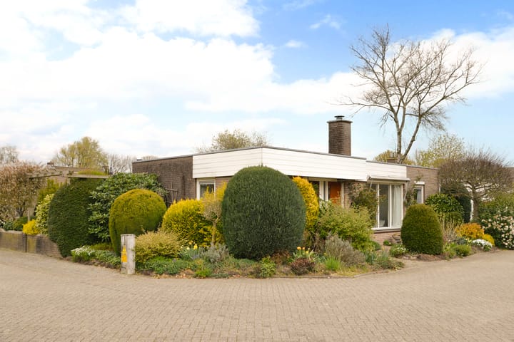 Foto 3 van Honingbij 18