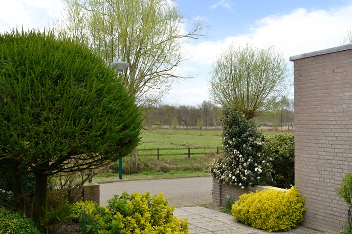 Foto 4 van Honingbij 18