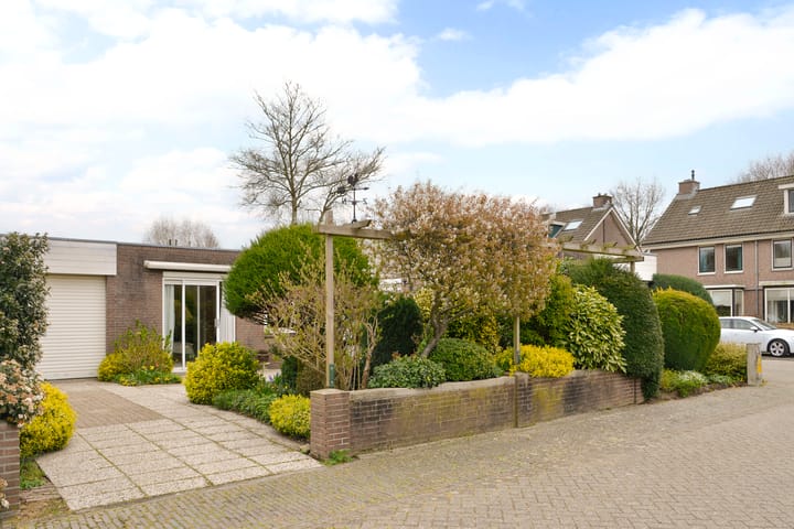 Foto 6 van Honingbij 18