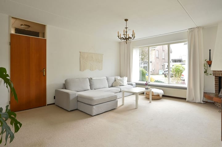 Foto 8 van Honingbij 18