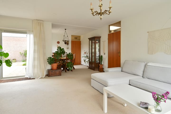 Foto 9 van Honingbij 18