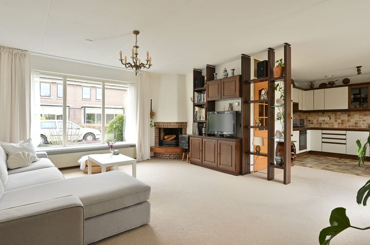 Foto 10 van Honingbij 18