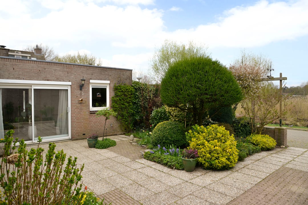 Foto 17 van Honingbij 18