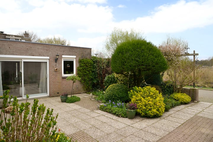 Foto 17 van Honingbij 18