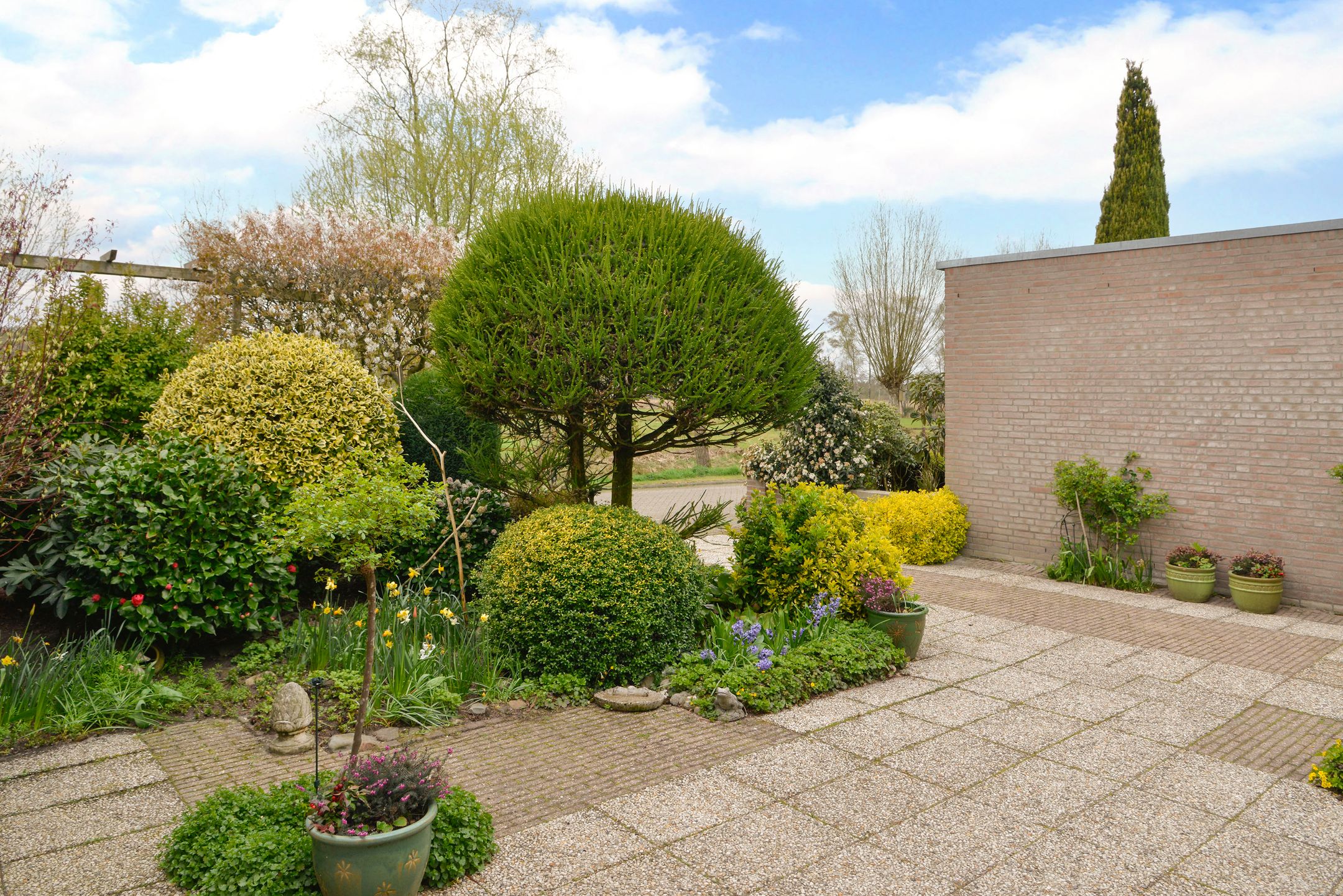 Foto 18 van Honingbij 18