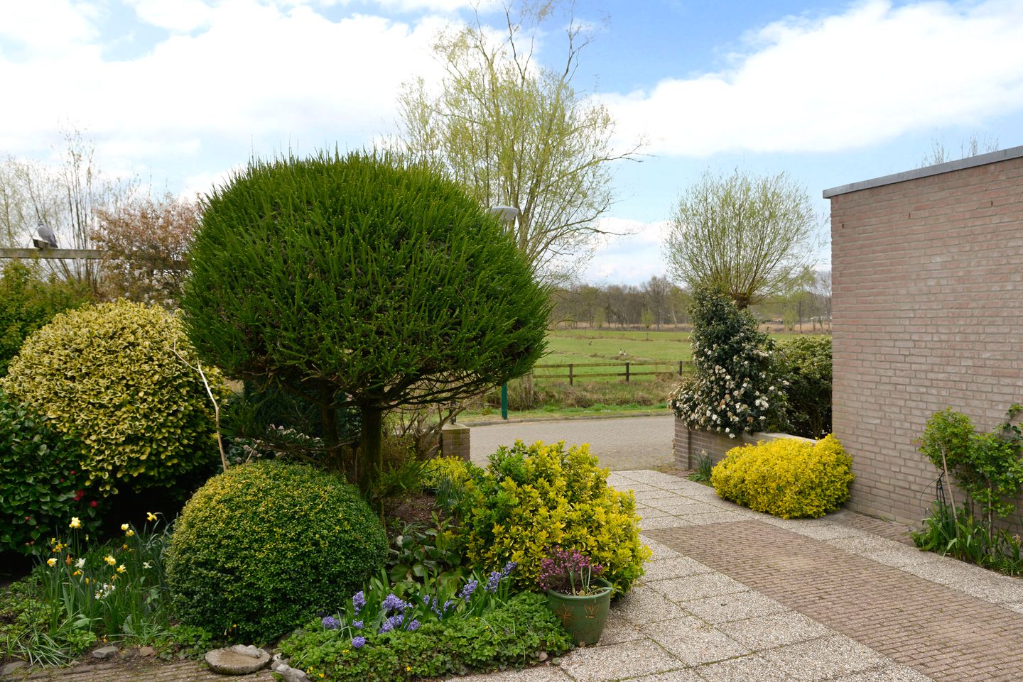 Foto 19 van Honingbij 18