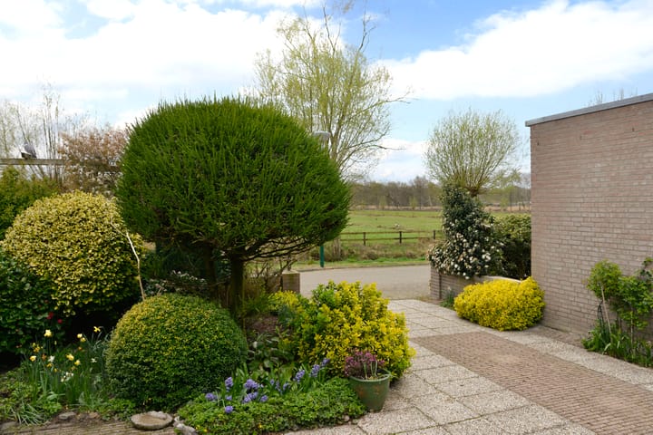 Foto 19 van Honingbij 18