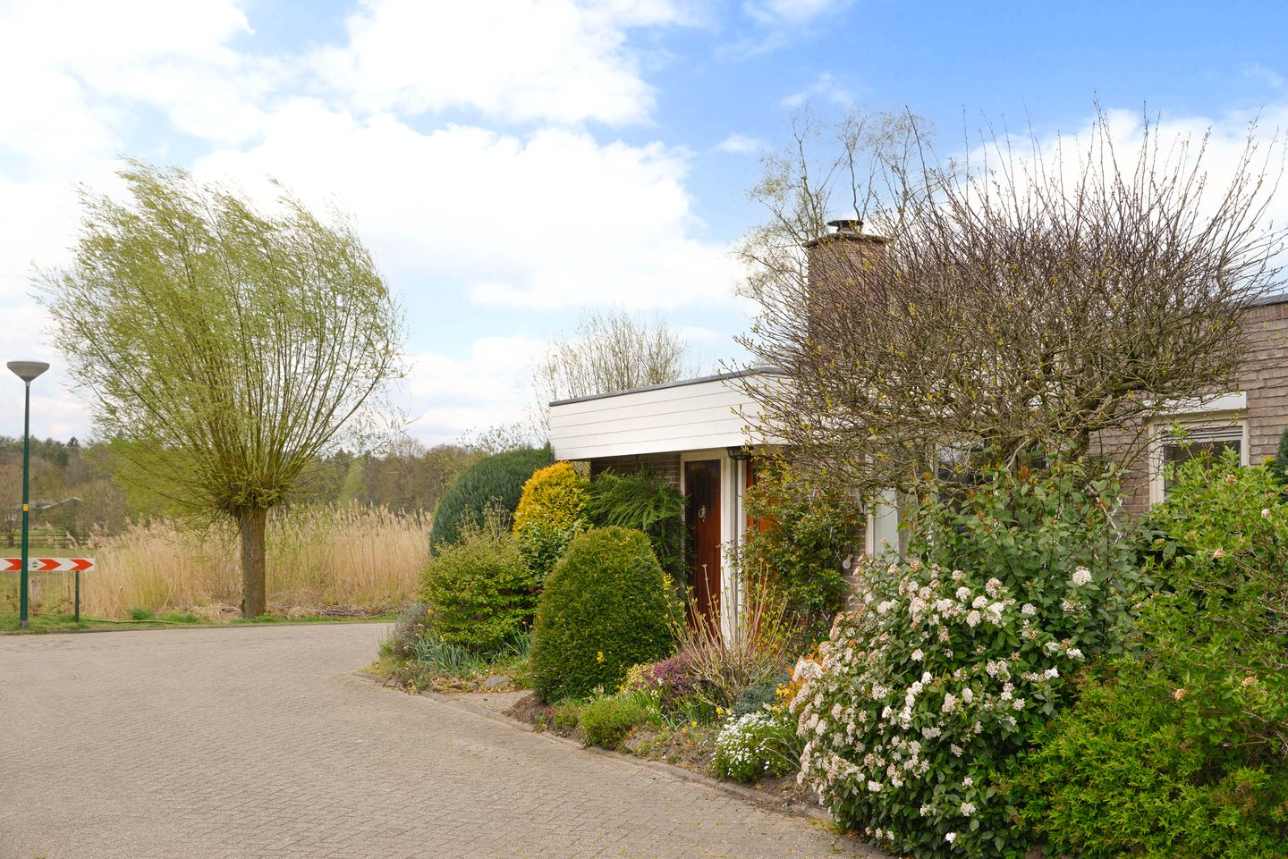 Foto 20 van Honingbij 18