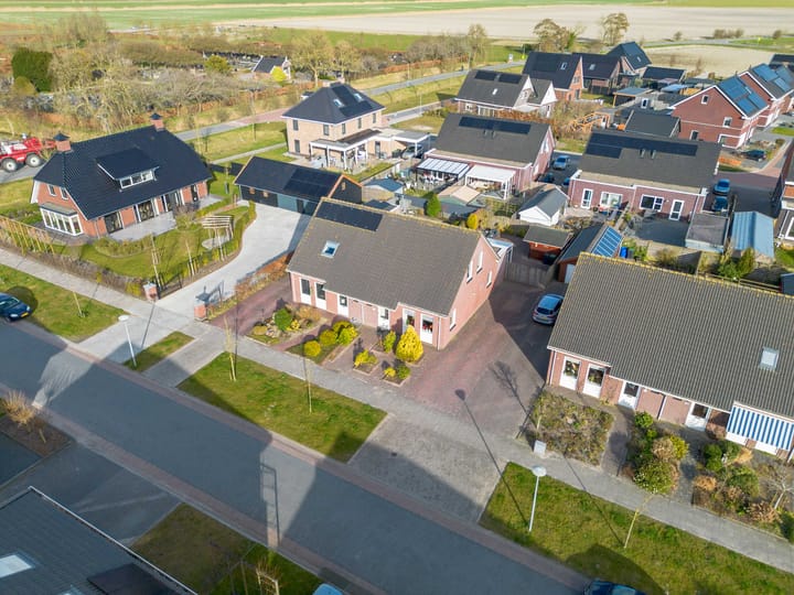 Foto 2 van Blauwe Reiger 5