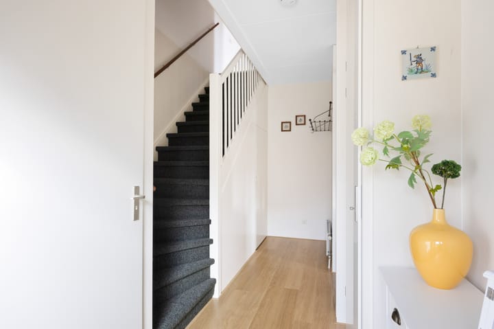 Foto 5 van Blauwe Reiger 5