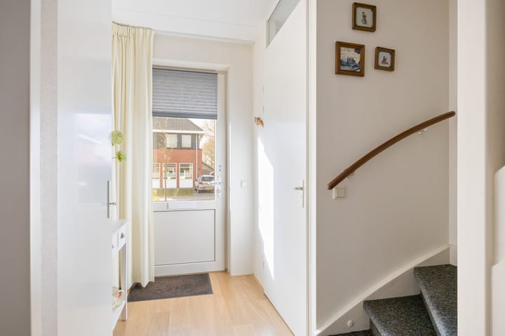 Foto 6 van Blauwe Reiger 5