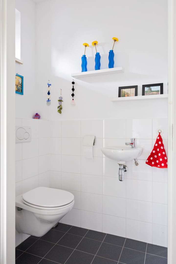 Foto 7 van Blauwe Reiger 5